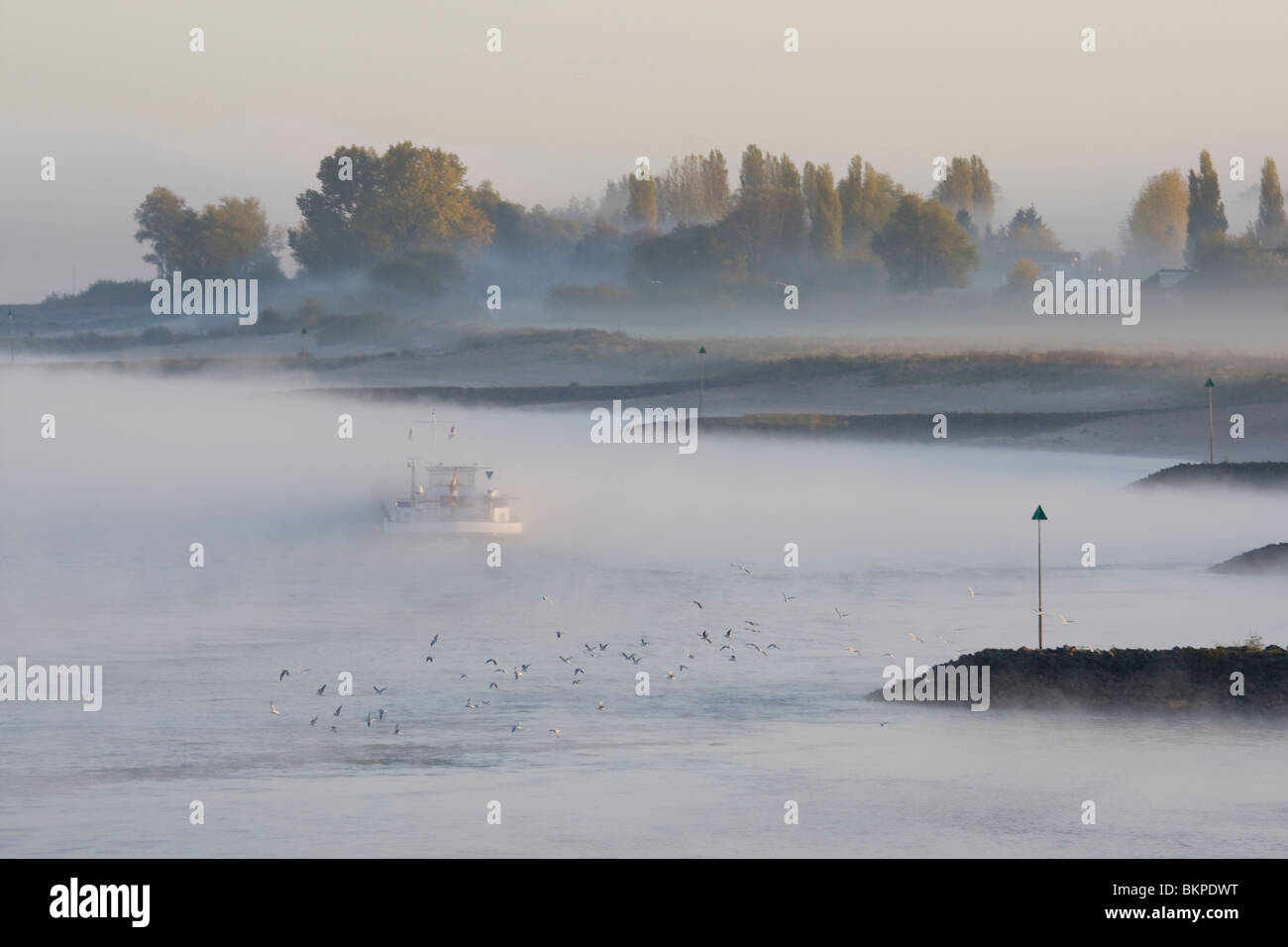 Sfeervolle mistige vroege morgen aan de Waal bij Nijmegen met rijnaak en kribben in de rivier, Scenic eary morning at the Waal with fog, a boat and groynes Stock Photo
