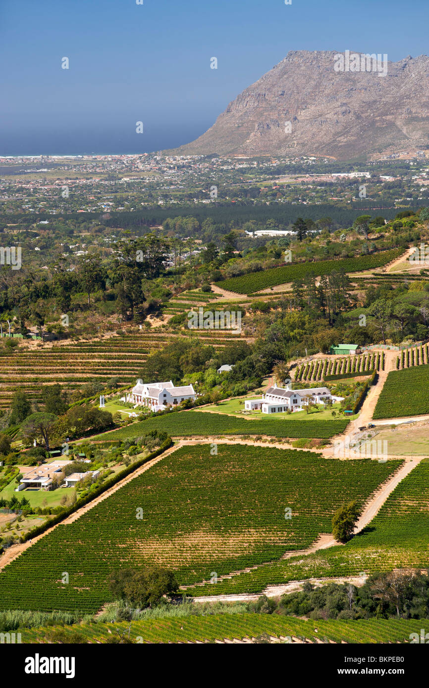 View of vineyards in the Constantia area of Cape Town's southern suburbs in South Africa. Stock Photo