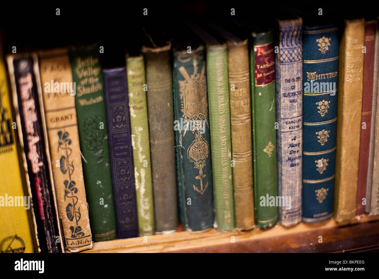 Books located in an Antique shop in Saint Augustine FL Stock Photo Alamy