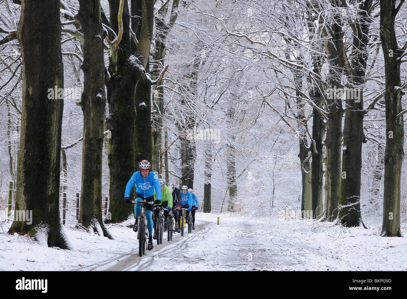 Mountain biker in winterbos; Mountain biker in winter forest Stock Photo