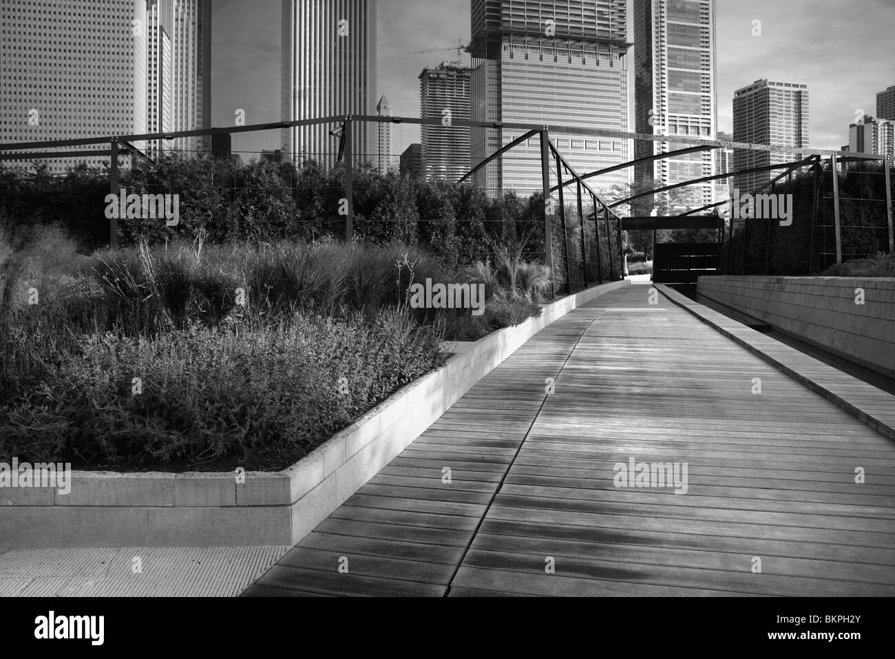 PRAIRIE STYLE LURIE GARDEN IN MILLENIUM PARK IN DOWNTOWN CHICAGO, ILLLINOIS, USA Stock Photo