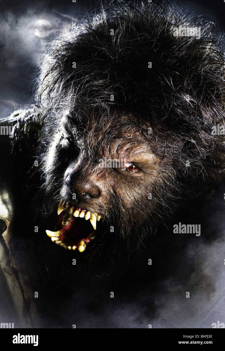 Joe wolf hi-res stock photography and images - Alamy