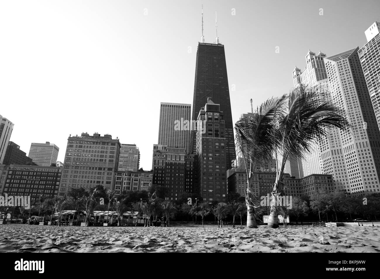 PALM TREES ON OAK STREET BEACH, GOLD COAST, CHICAGO, ILLINOIS, USA