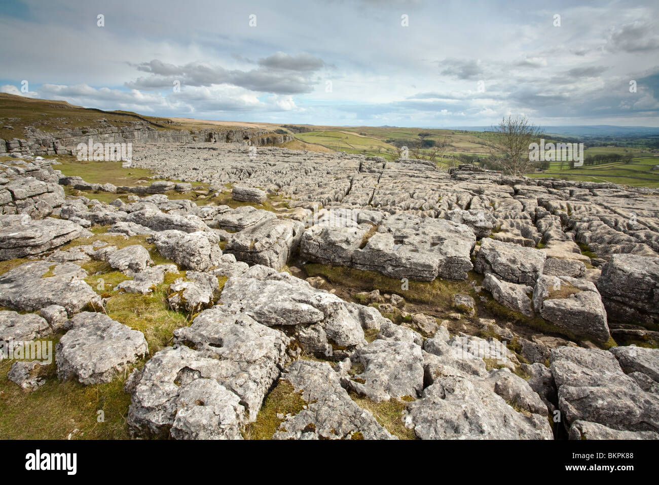 Limestone pavement at the top of Malham Cove in the Yorkshire Dales, Uk