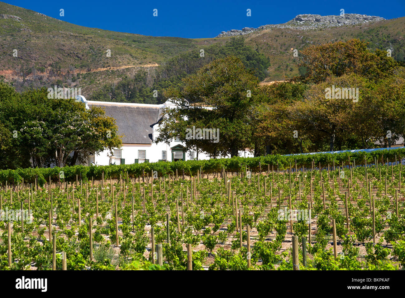 The manor house at Groot Constantia wine estate in Cape Town, South