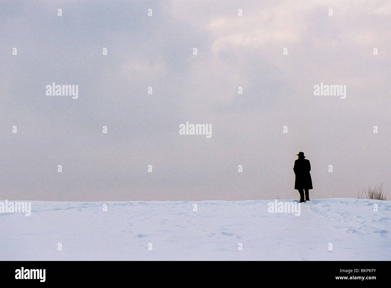 WINTER JOURNEY (2006) WINTERREISE (ALT) JOSEF BIERBICHLER WJOU 001-02 Stock Photo