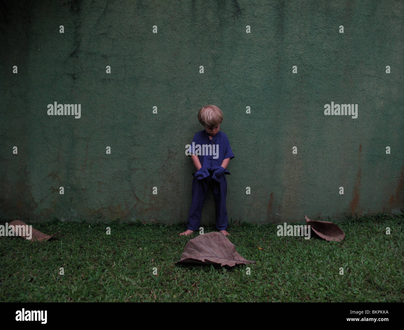 A young boy poses in front of a large leaf Stock Photo - Alamy