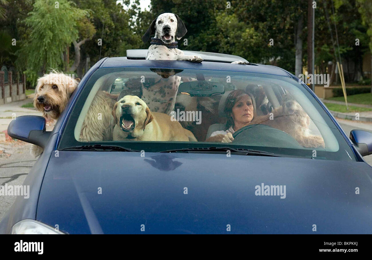 YEAR OF THE DOG (2007) MOLLY SHANNON MIKE WHITE (DIR) YOTD 001 Stock Photo