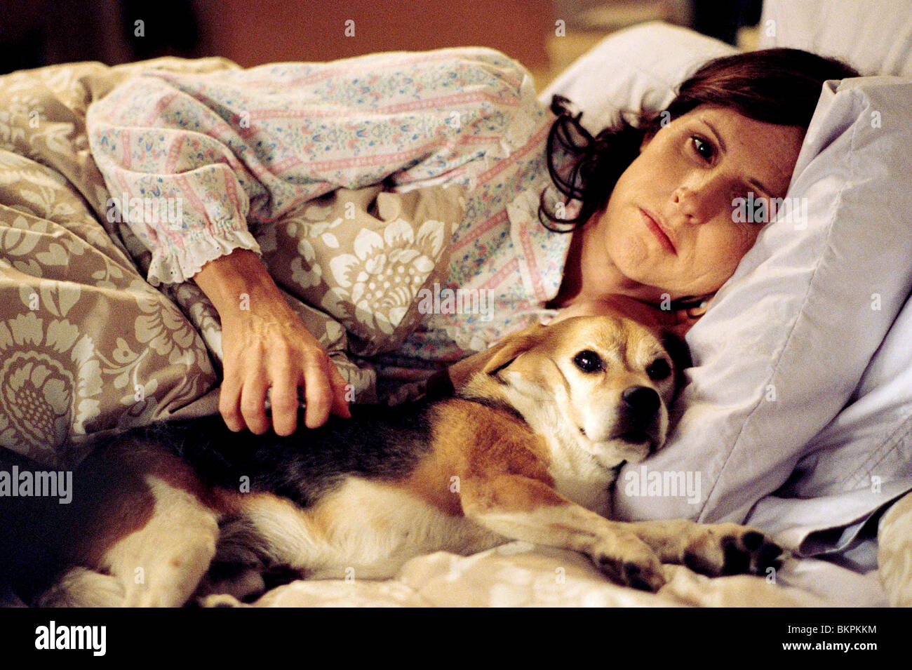 YEAR OF THE DOG (2007) MOLLY SHANNON MIKE WHITE (DIR) YOTD 002 Stock Photo