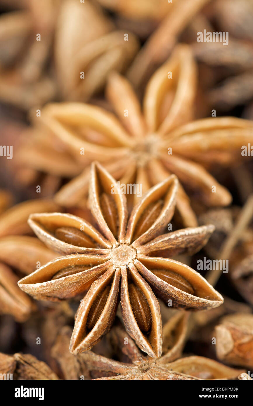 Closeup of aniseed, also known as star anise Stock Photo Alamy