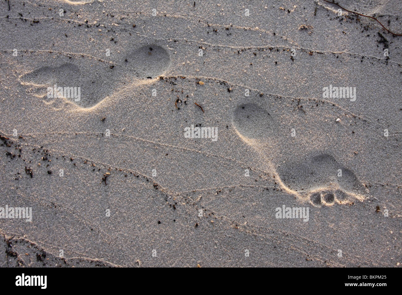 Footprints in the sand, Bald Point, Florida Stock Photo