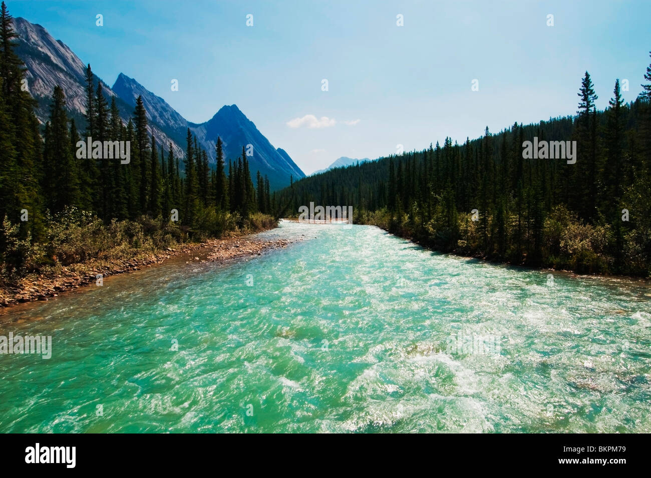 Kootenay plains hi-res stock photography and images - Alamy
