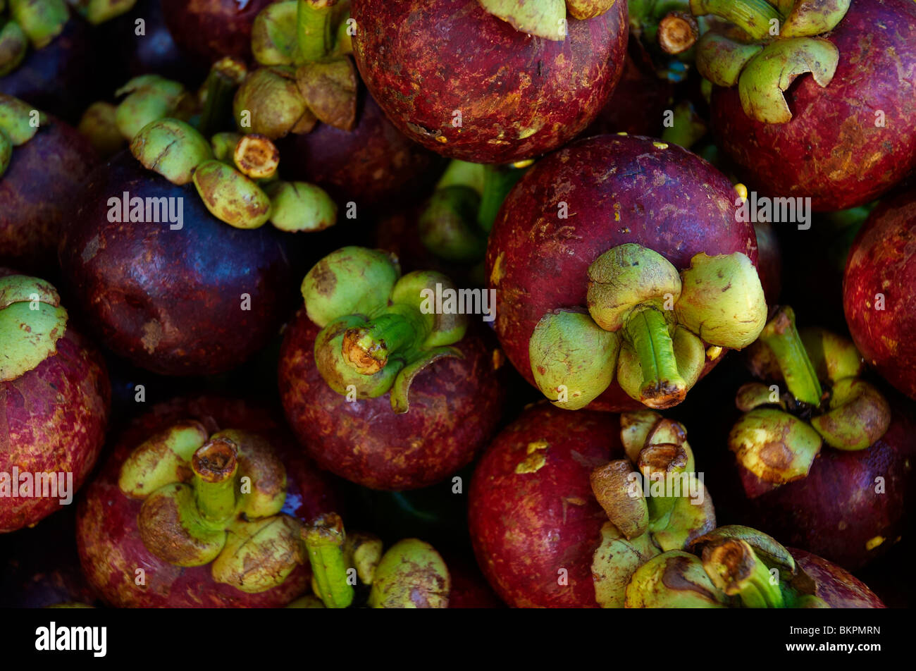 Mangosteen fruits garcinia mangostana bali hires stock photography and images Alamy