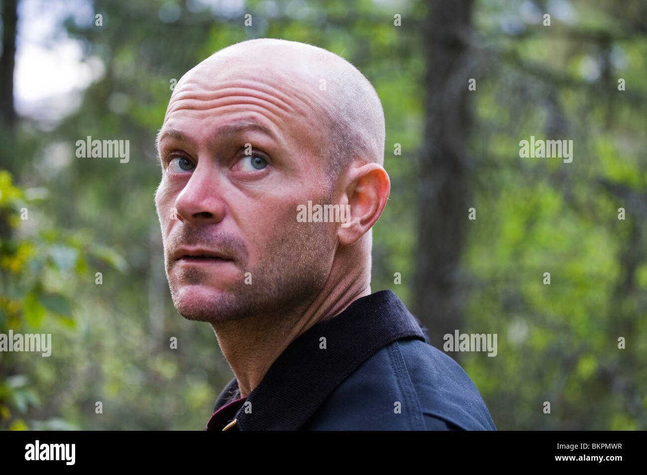 Portrait bald man in hi-res stock photography and images - Alamy
