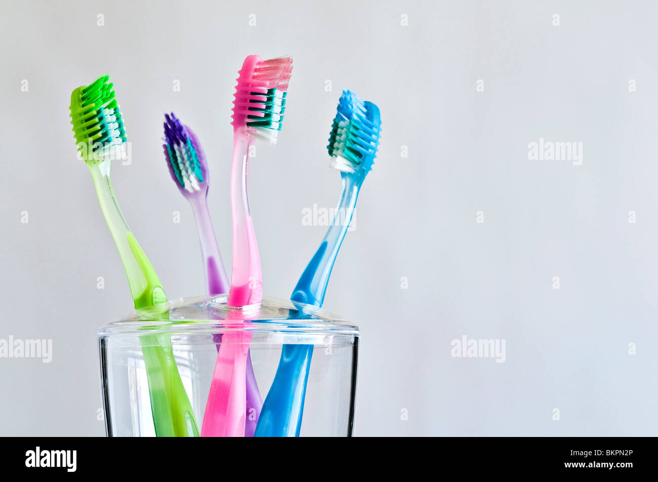 Four different colored toothbrushes in family toothbrush holder. Stock Photo