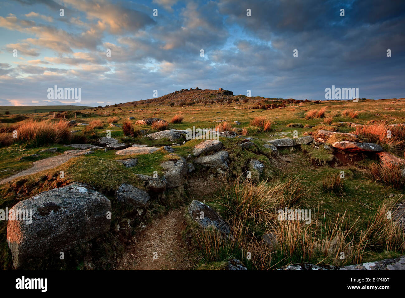 minions Cornwall on the moors at sunset Stock Photo Alamy