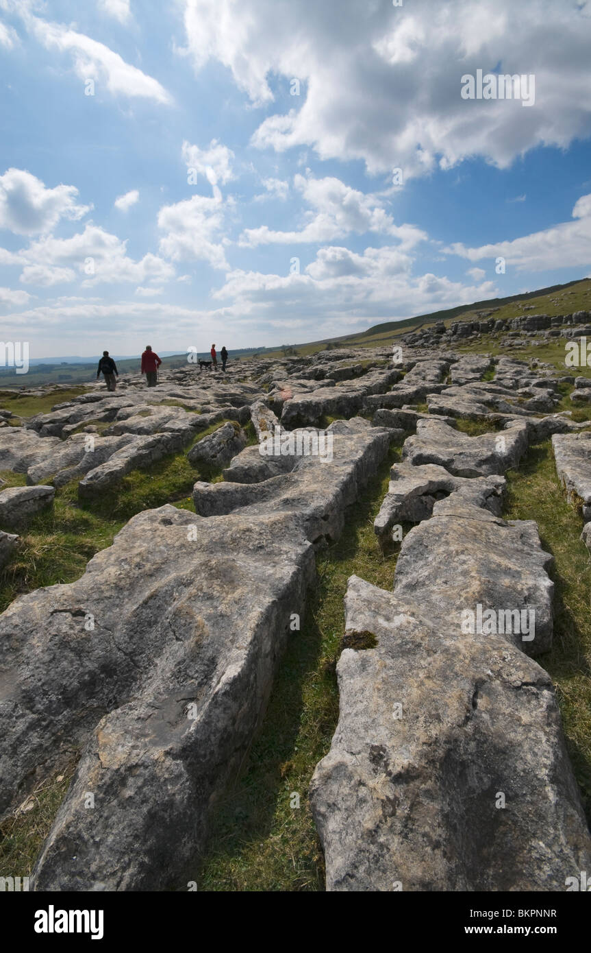 The Limestone pavement Malham Cove, The Yorkshire Dales,England Stock