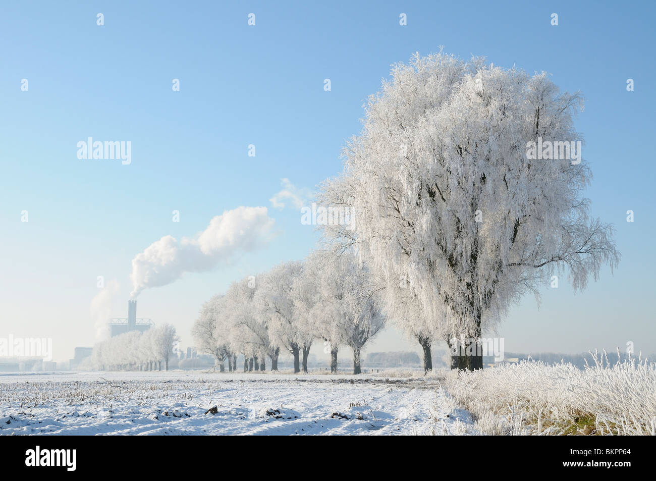 Winter landscape with a smoking chimney and hoar frosted trees Stock Photo