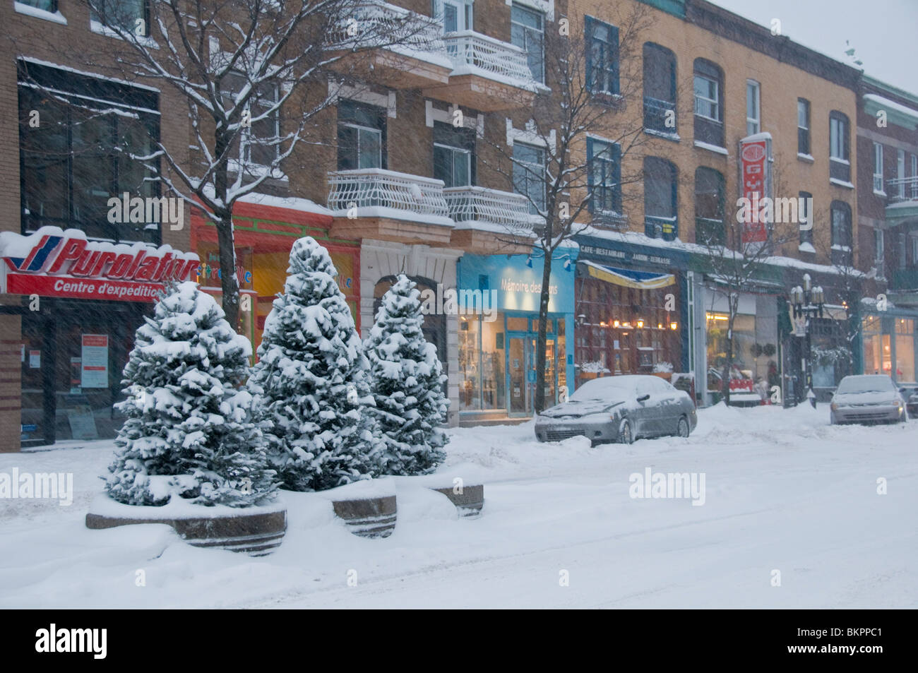 Winter storm Laurier street Montreal Canada Stock Photo Alamy