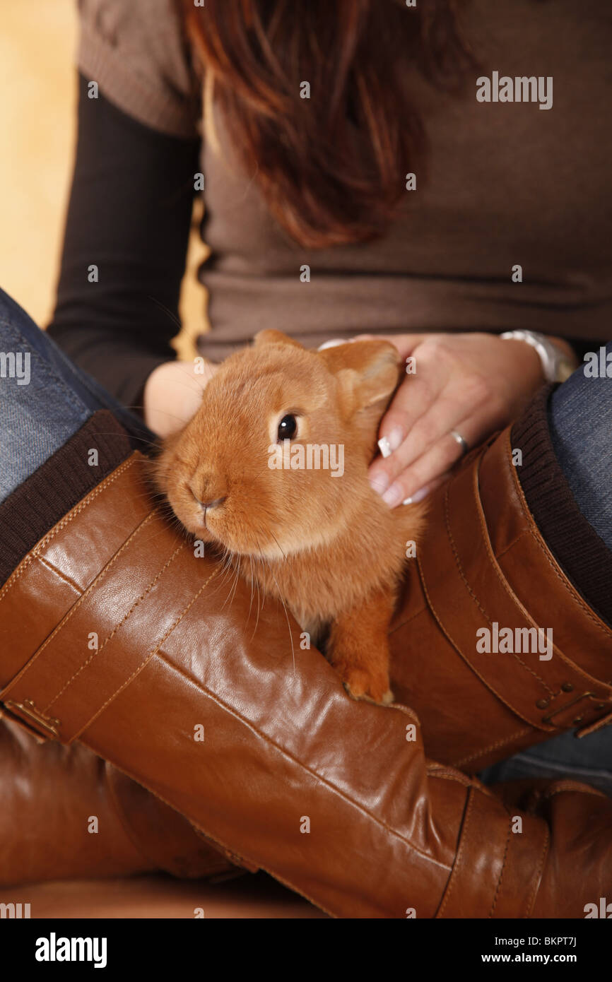 junge Frau mit Kaninchen / young woman with rabbit Stock Photo