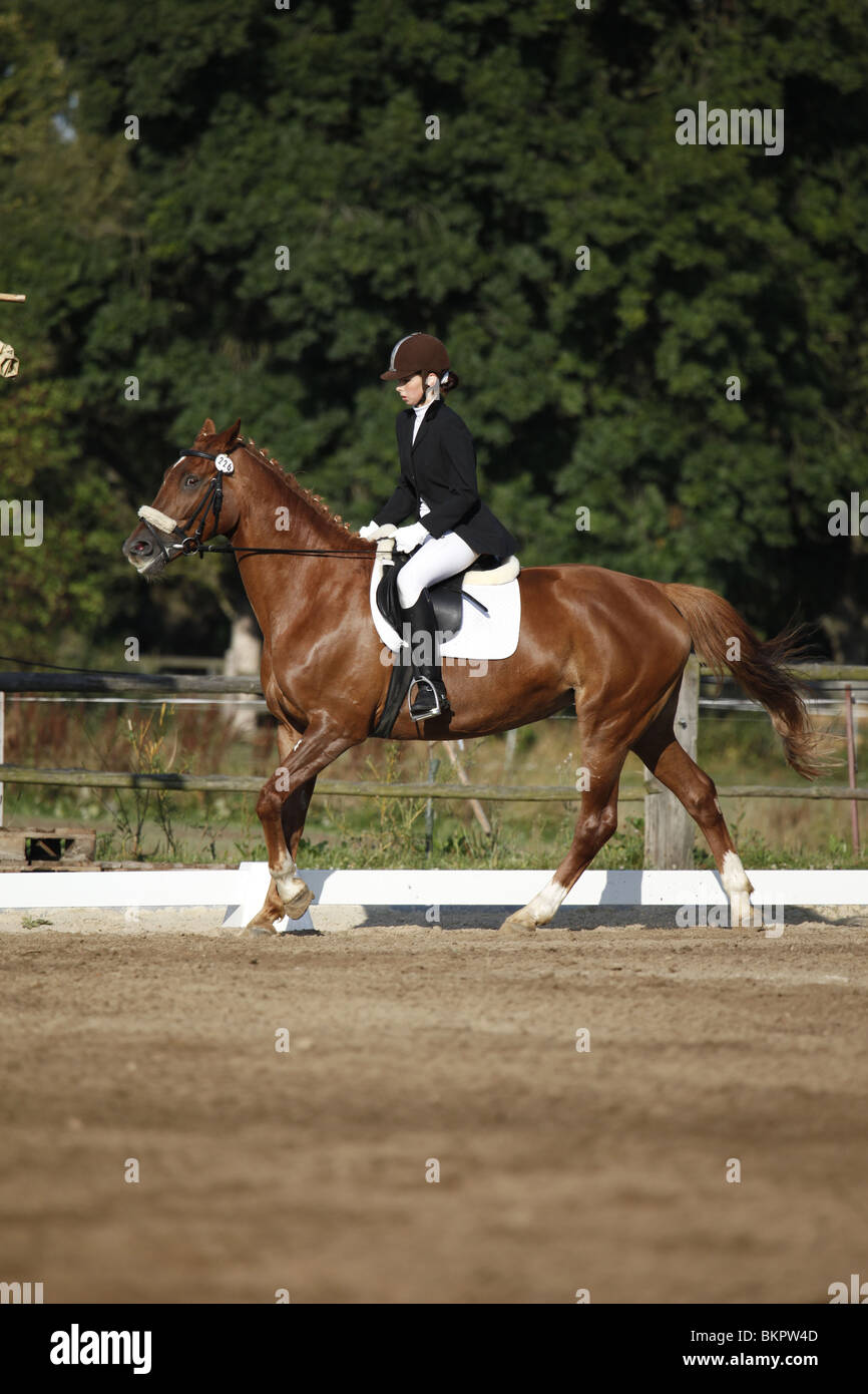 Une introduction à l'équitation de dressage