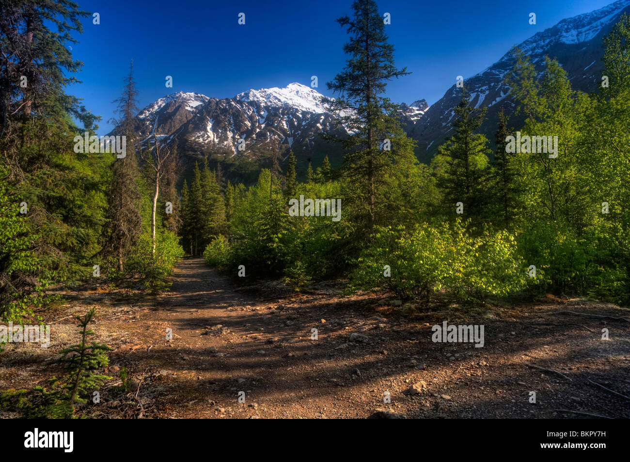 Crow Pass Trail near Eagle River, Chugach State Park, Southcentral ...