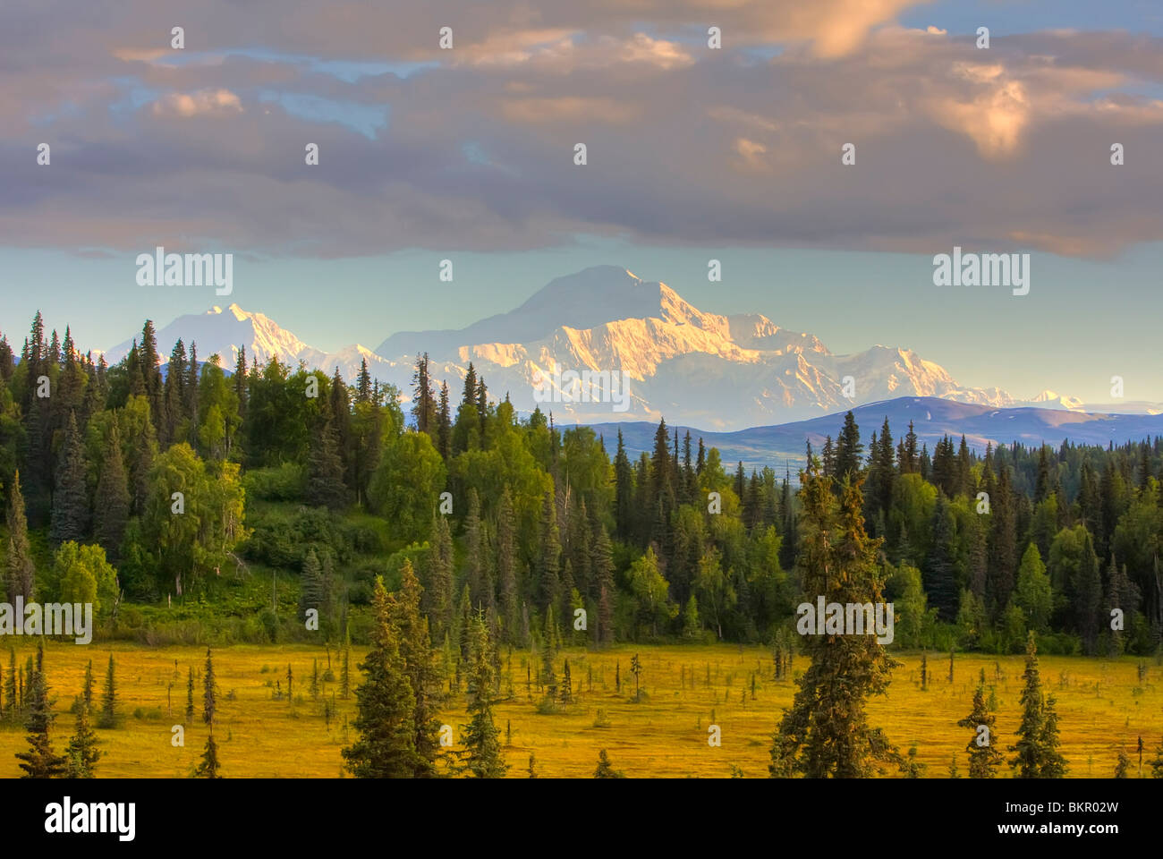 Scenic view of Mount McKinley from south of Denali National Park Southcentral Alaska, Summer Stock Photo