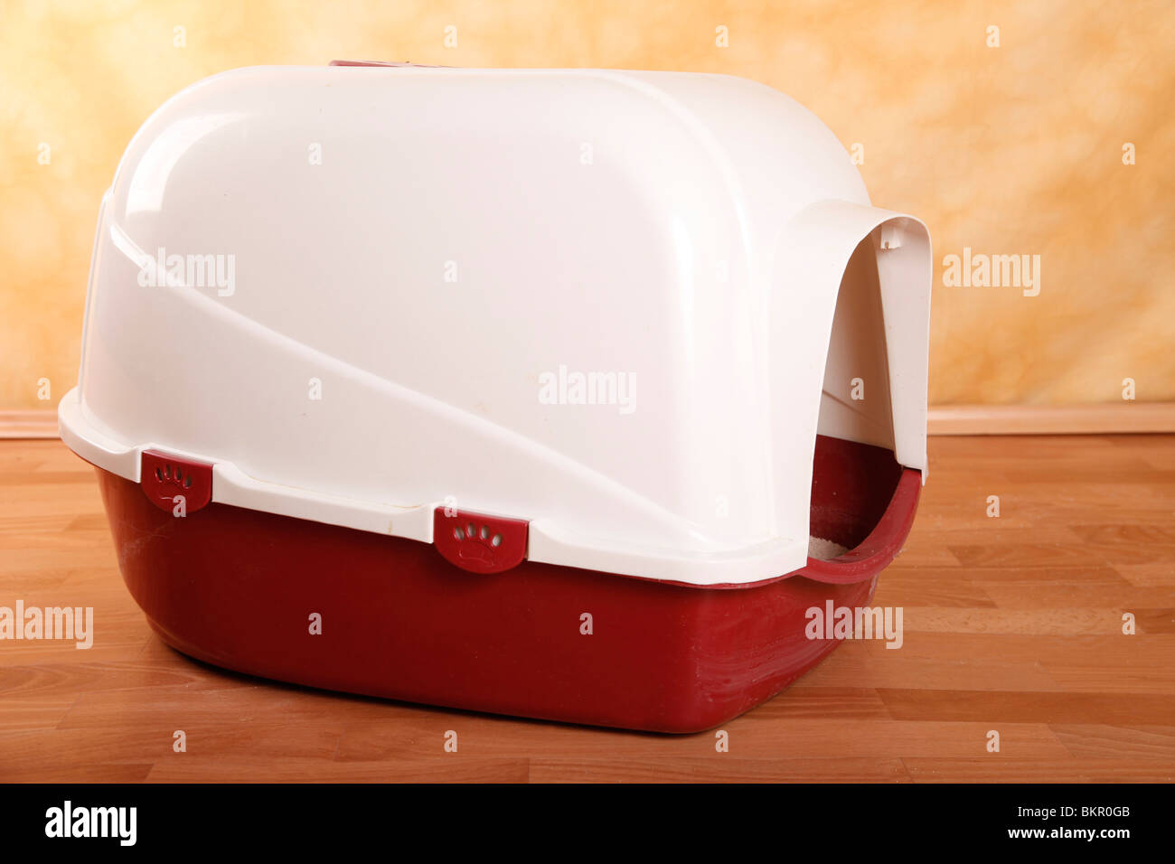 Litter box hi-res stock photography and images - Alamy