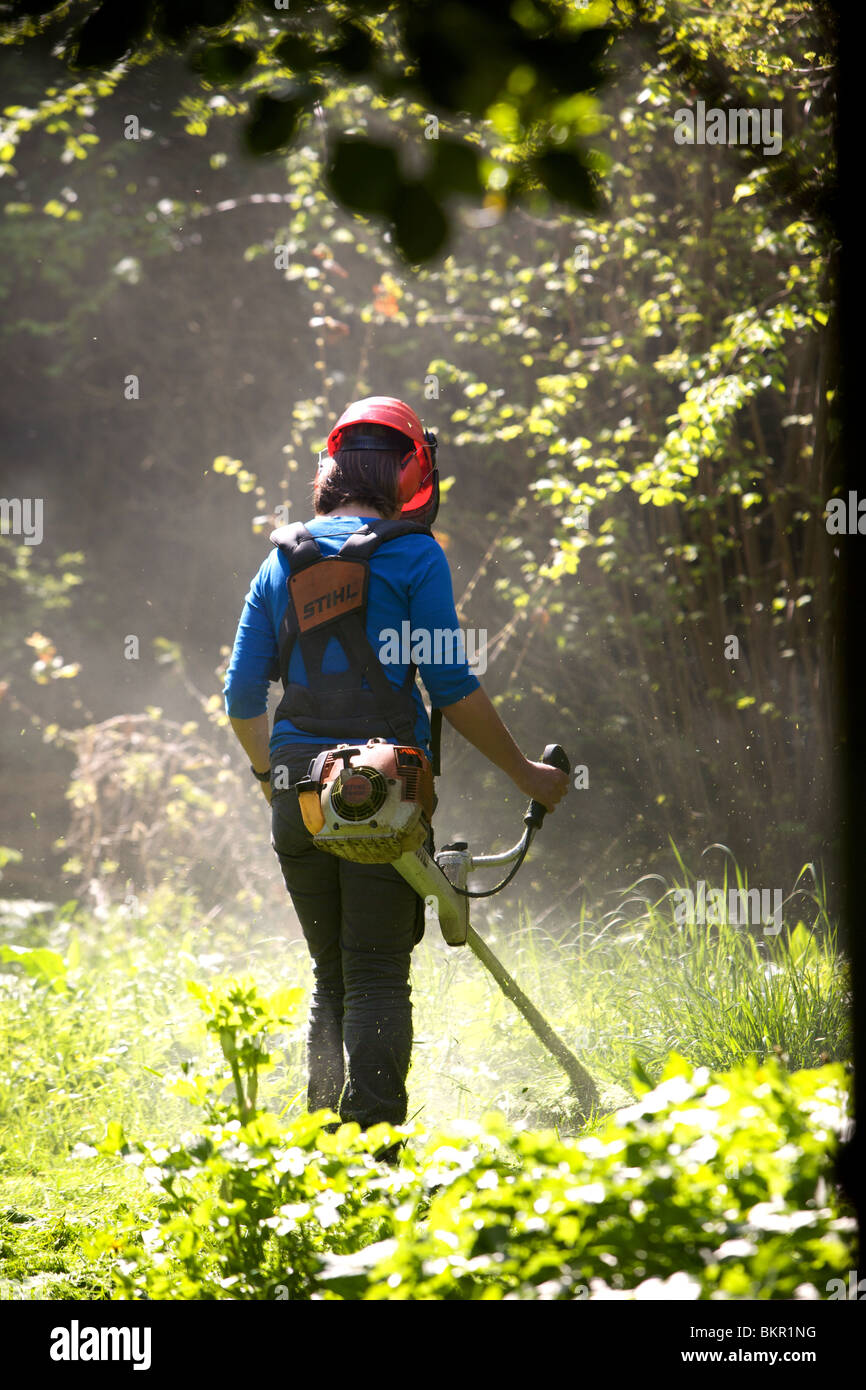 Groundskeeper cutting the grass with a petrol powered strimmer Stock