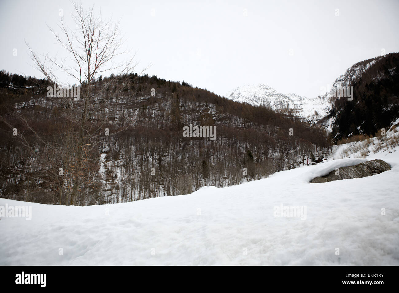 Snowy mountainside, Mogno, Valle Maggia, Switzerland Stock Photo