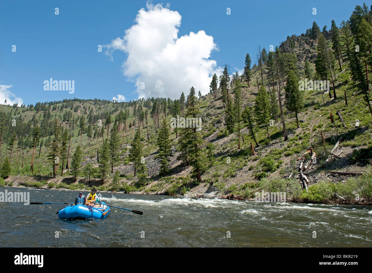 Middle Fork of the Salmon River, Frank Church Wilderness, State of Idaho, U.S.A Stock Photo Alamy