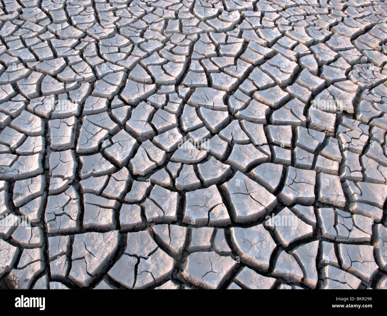 Drying mud hires stock photography and images Alamy