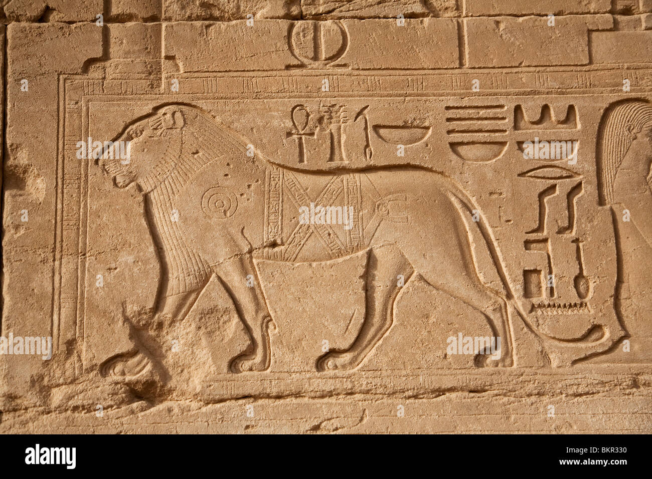 Возрождение 6 букв. Акер Египет. Лев в Египте. Лев в древнем Египте. Львы в Египте фигуры.