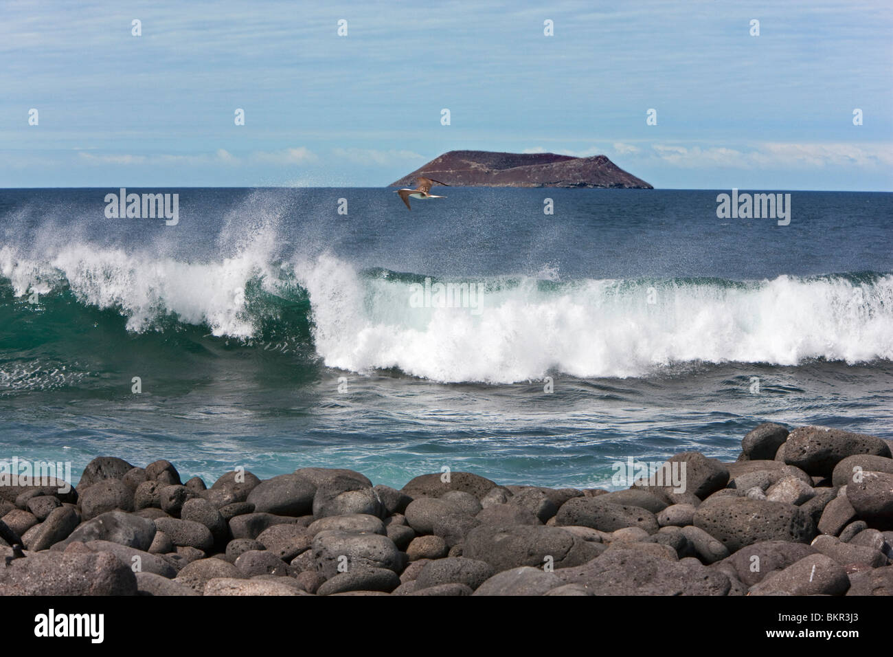 Galapagos Islands, A view from the rocky shores of North Seymour island looking towards Daphne Major. Stock Photo