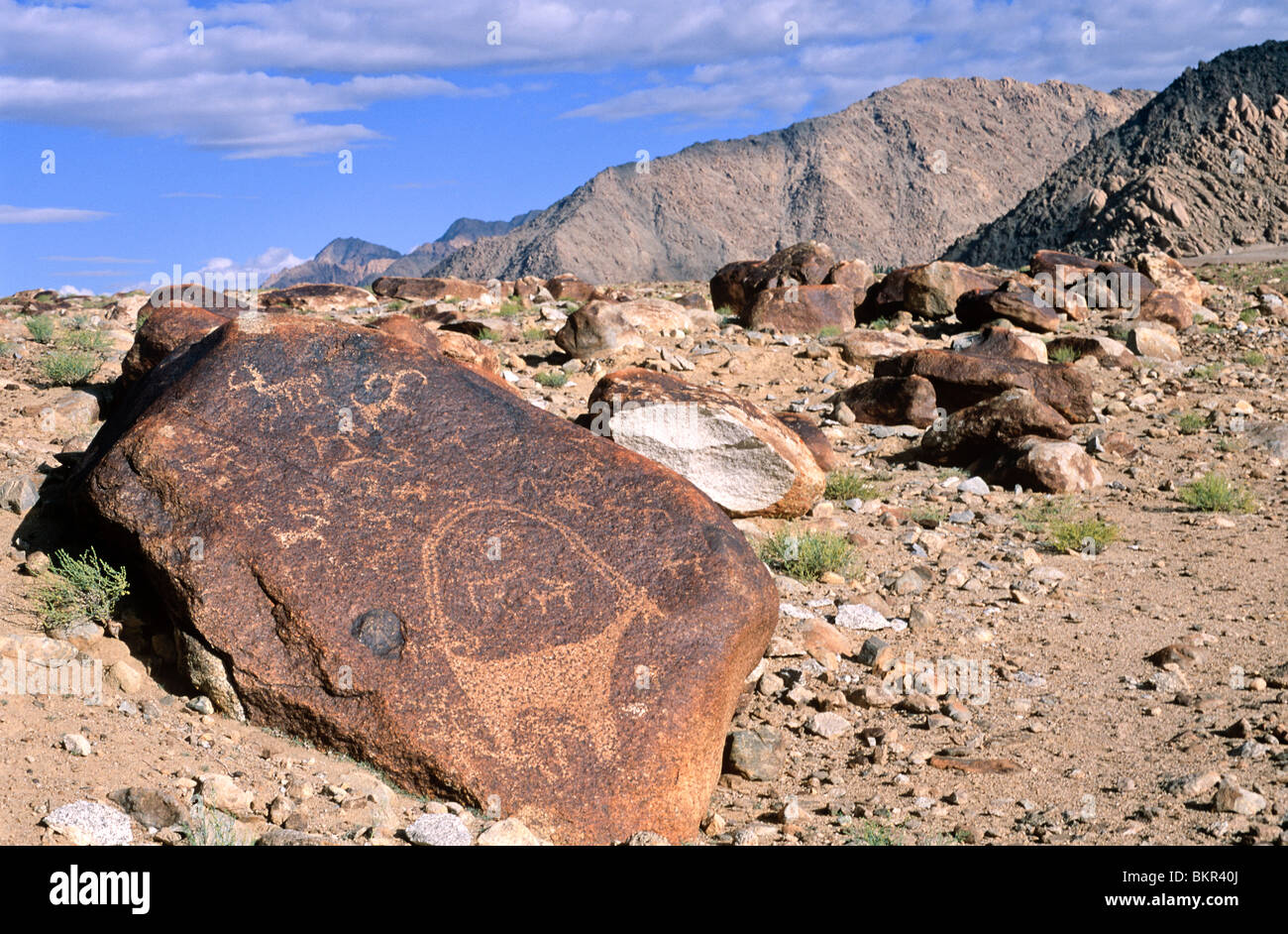 Petroglyphs near the road to Likir, Tangyar valley, Ladakh, North West India Stock Photo