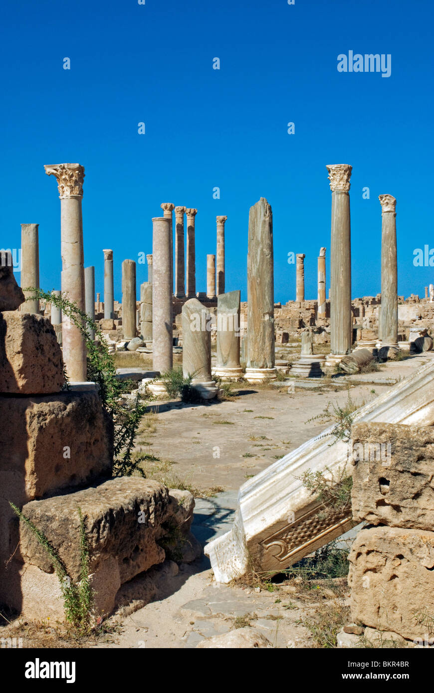 Libya, Sabratha. Columns. Stock Photo