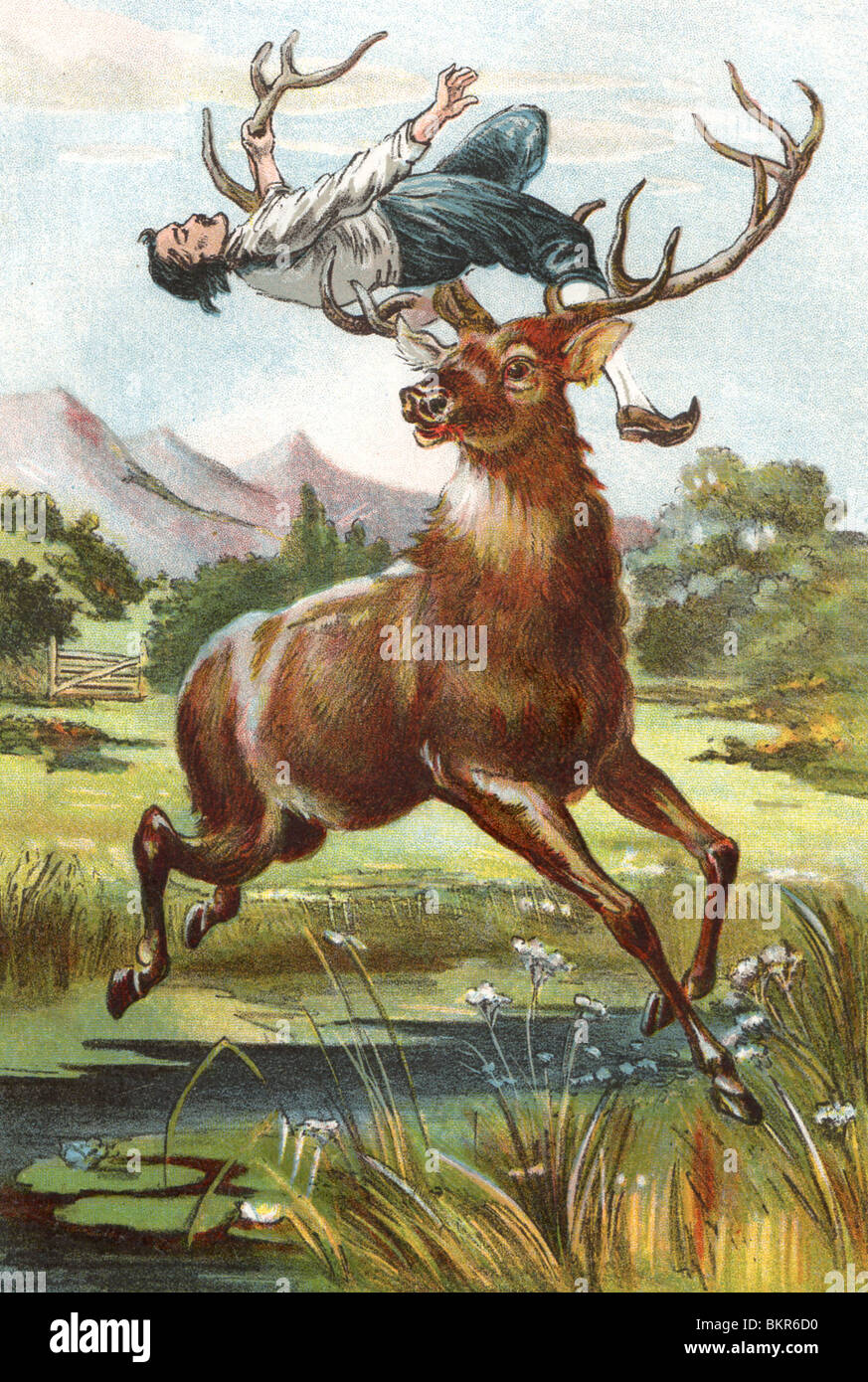 St Teilo Riding Stag The Tailor and the Stag Stock Photo - Alamy
