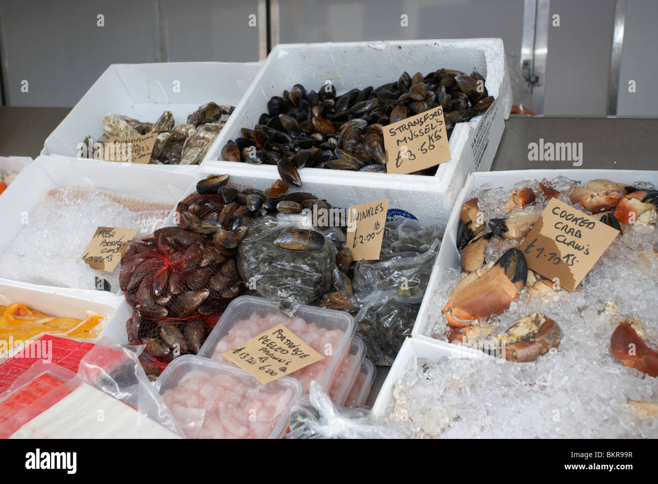 selection of fresh irish shellfish on sale at a seafood stall at an outdoor market Holywood County Down Northern Ireland UK Stock Photo