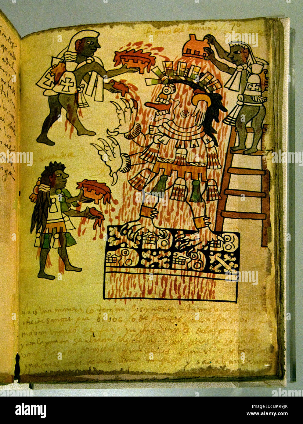 Codex Tro Cortesianus Maya codices pre Columbian Maya civilization written in Maya hieroglyphic 1250 1500 AD Stock Photo