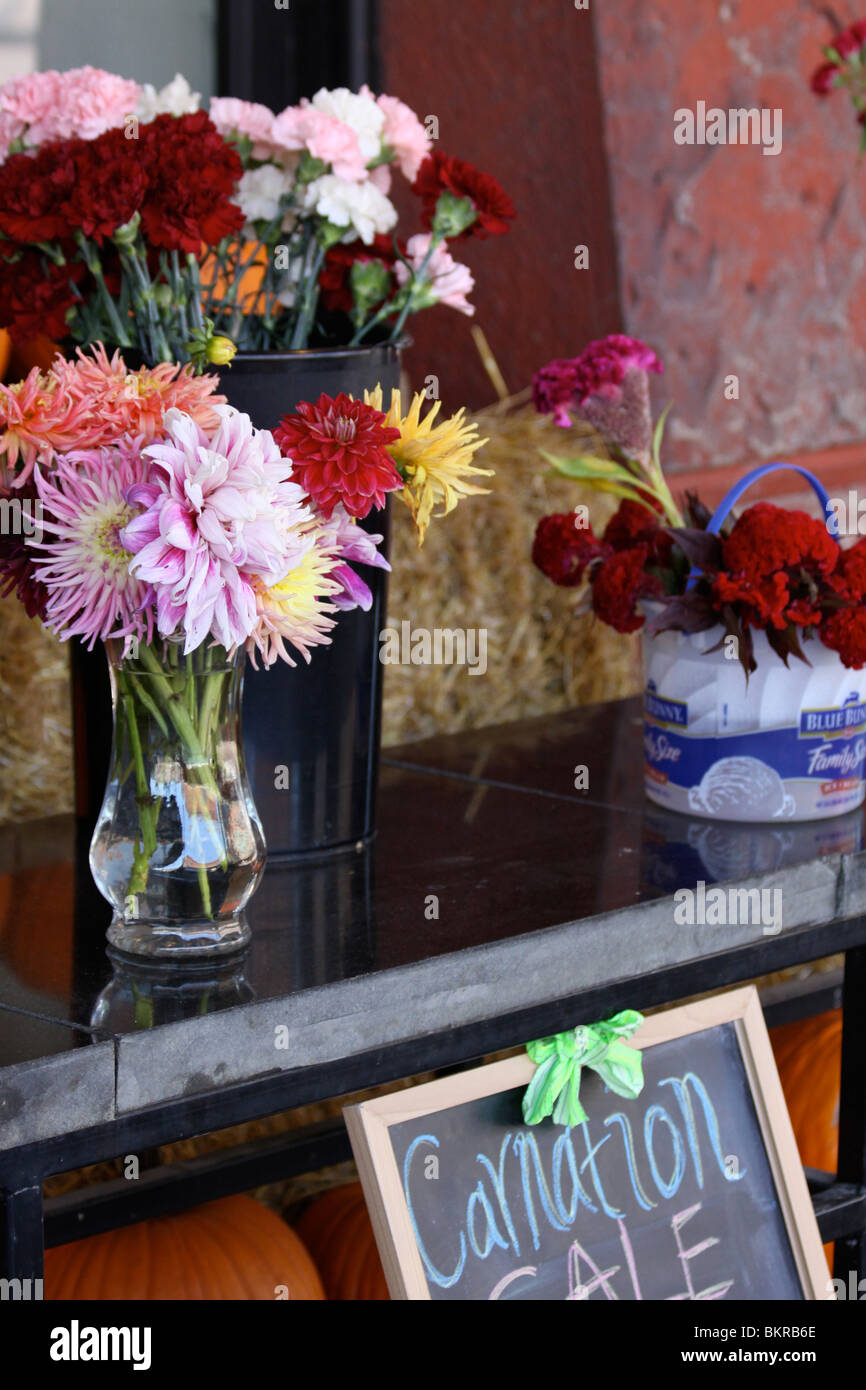 Old Market carnation sale Stock Photo Alamy