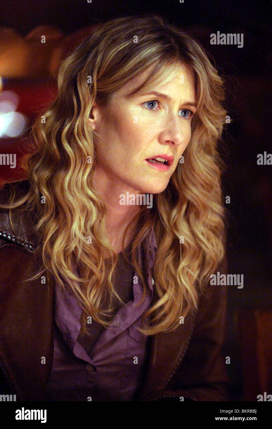 Photos of laura dern