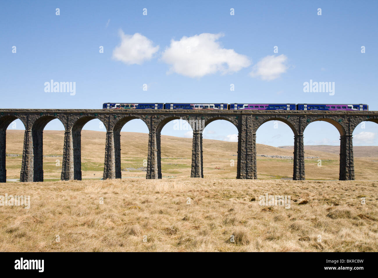 The Ribblehead Viaduct, Yorkshire Dales, England. Stock Photo