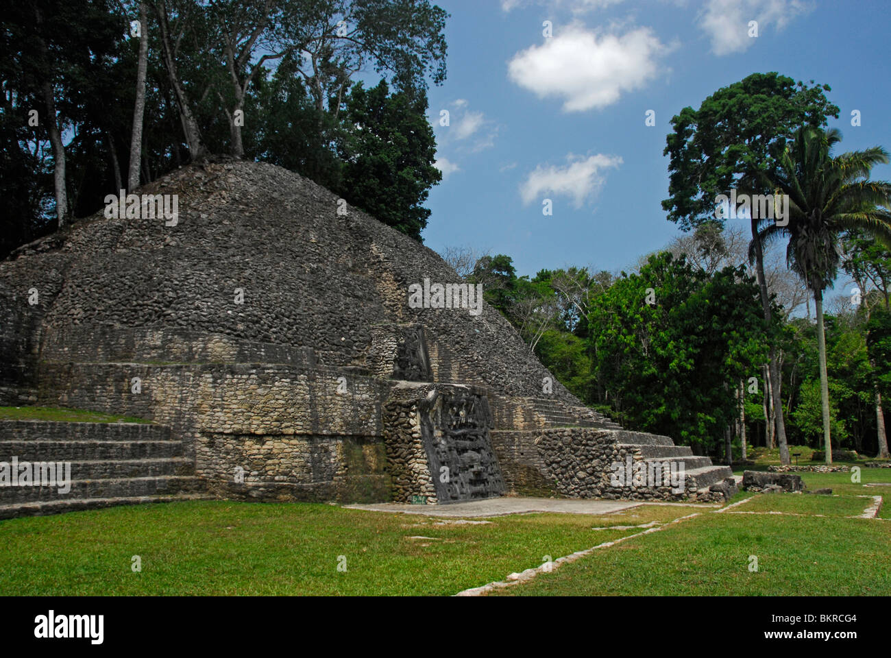 Caracol ruins, Mayan Mountains, Cayo District, Belize, Central America Stock Photo