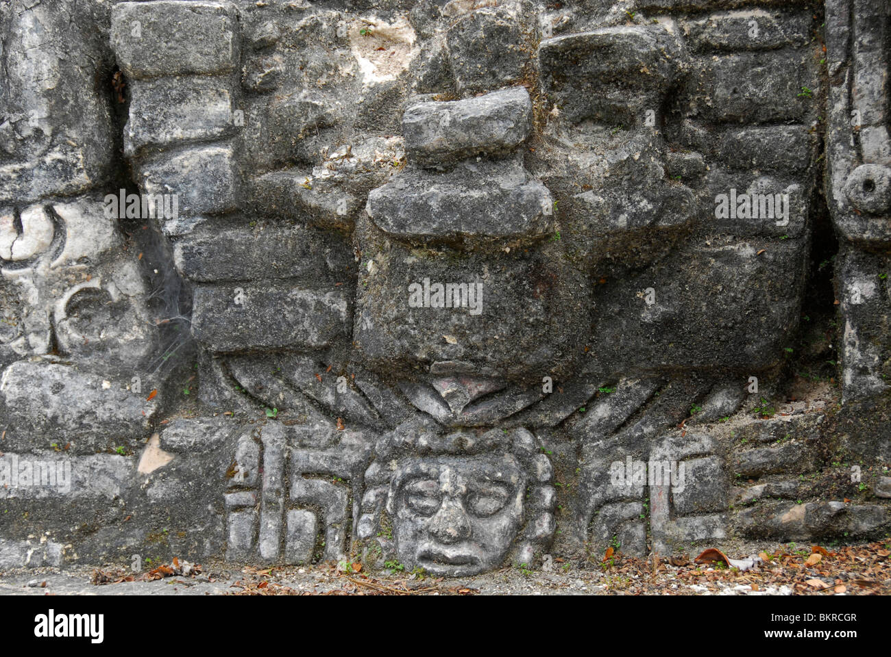 Relief in Caracol ruins, Mayan Mountains, Cayo District, Belize, Central America Stock Photo