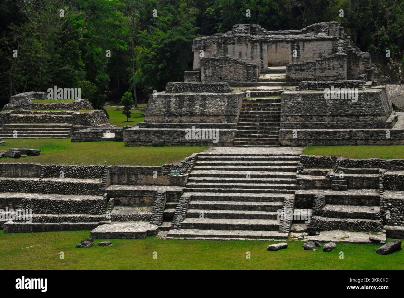 Caracol ruins, Mayan Mountains, Cayo District, Belize, Central America Stock Photo