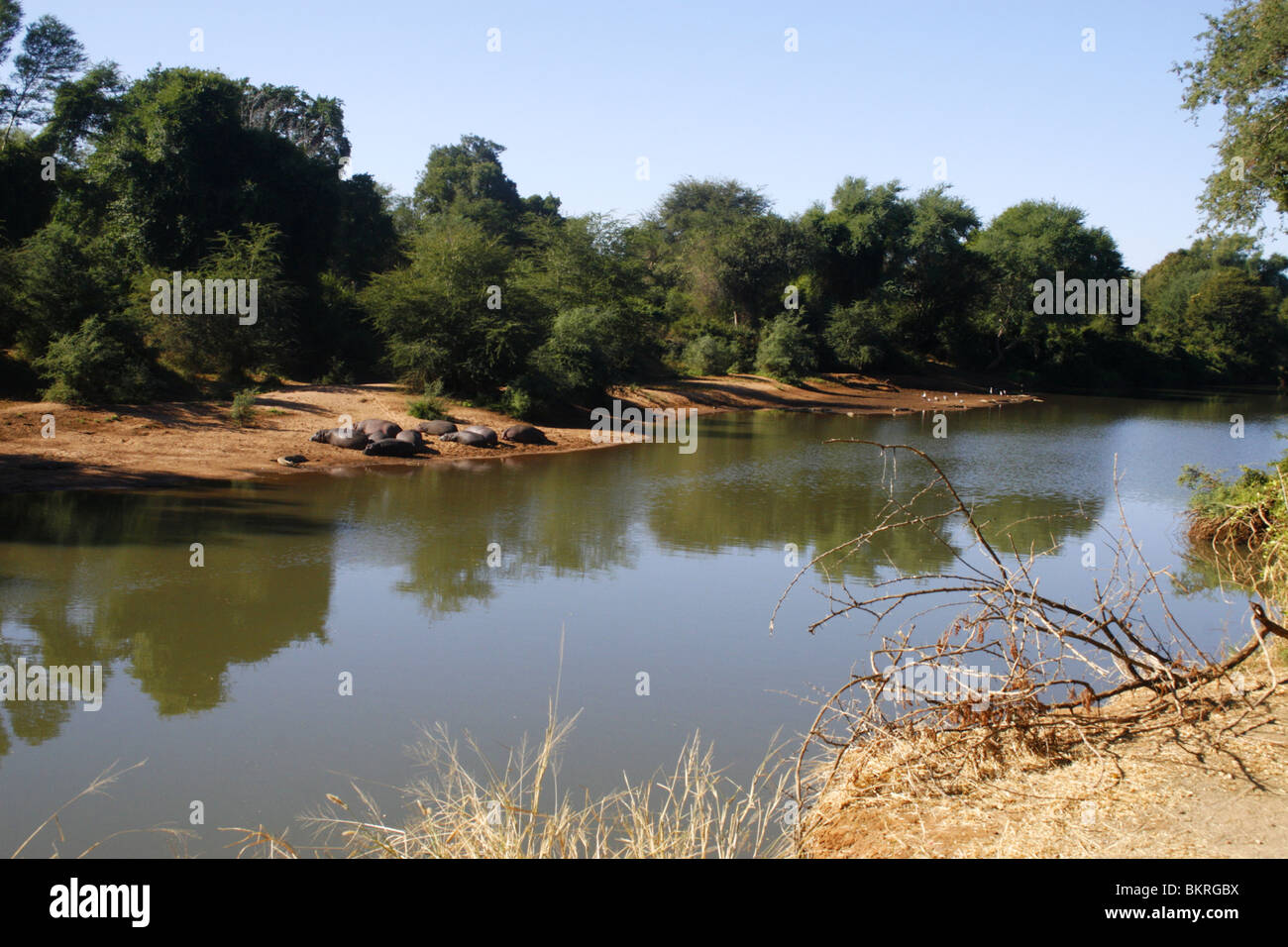 Bank of river hi-res stock photography and images - Alamy