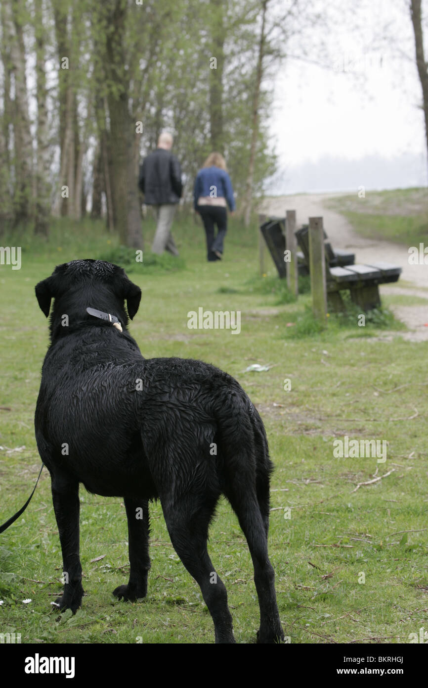 Lonely middle aged man walking hi-res stock photography and images - Alamy