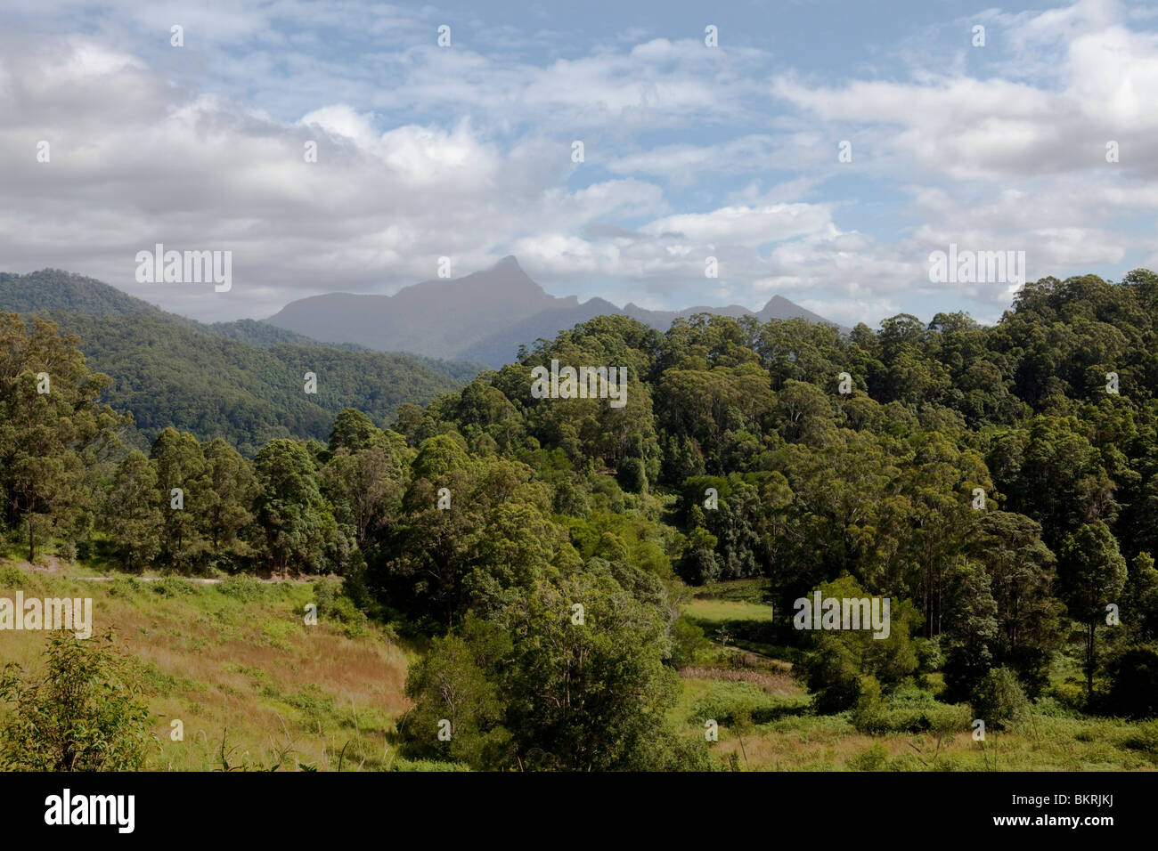 Mt Warning (Wolumbin), NSW, Australia Stock Photo Alamy