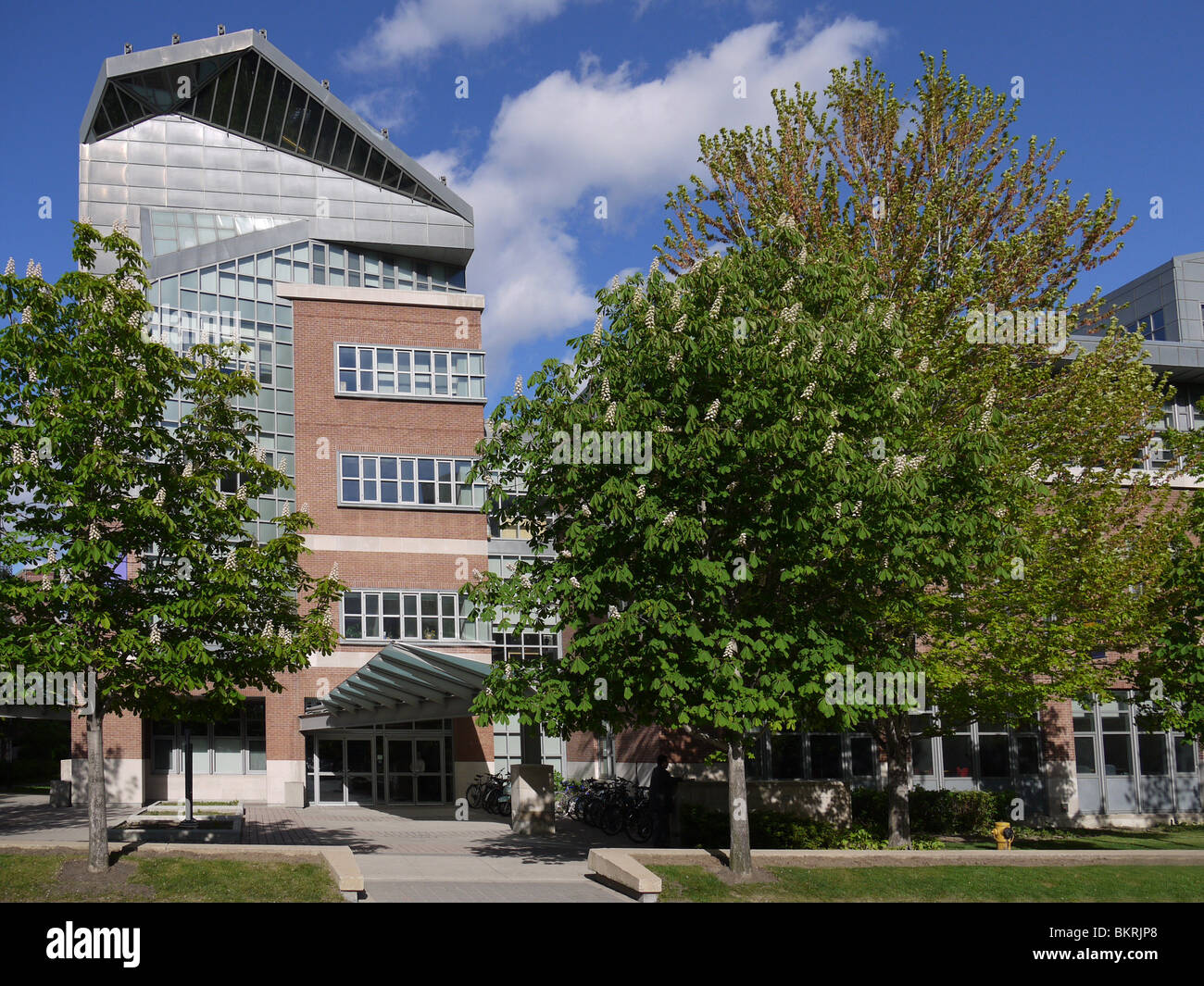 University of Toronto Rotman Business School Building Stock Photo Alamy