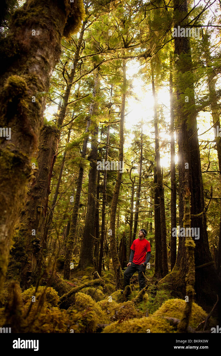 A man in red hikes in a mossy temperate rainforest on the Queen Charlotte Islands of Haida Gwaii in British Columbia, Canada surrounded by tall trees. Stock Photo